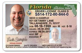 florida drivers license